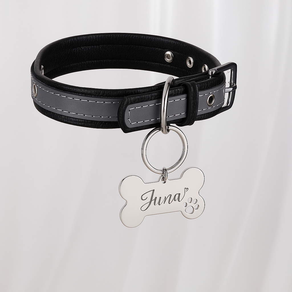 Placa Hueso con Patita