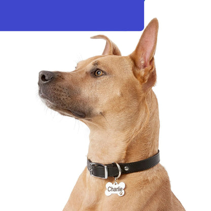 Placa Hueso con Patita