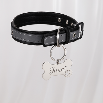 Placa Hueso con Patita