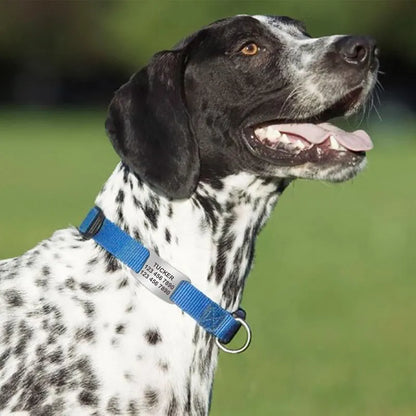 Placa Rectangular Abierta para Collar