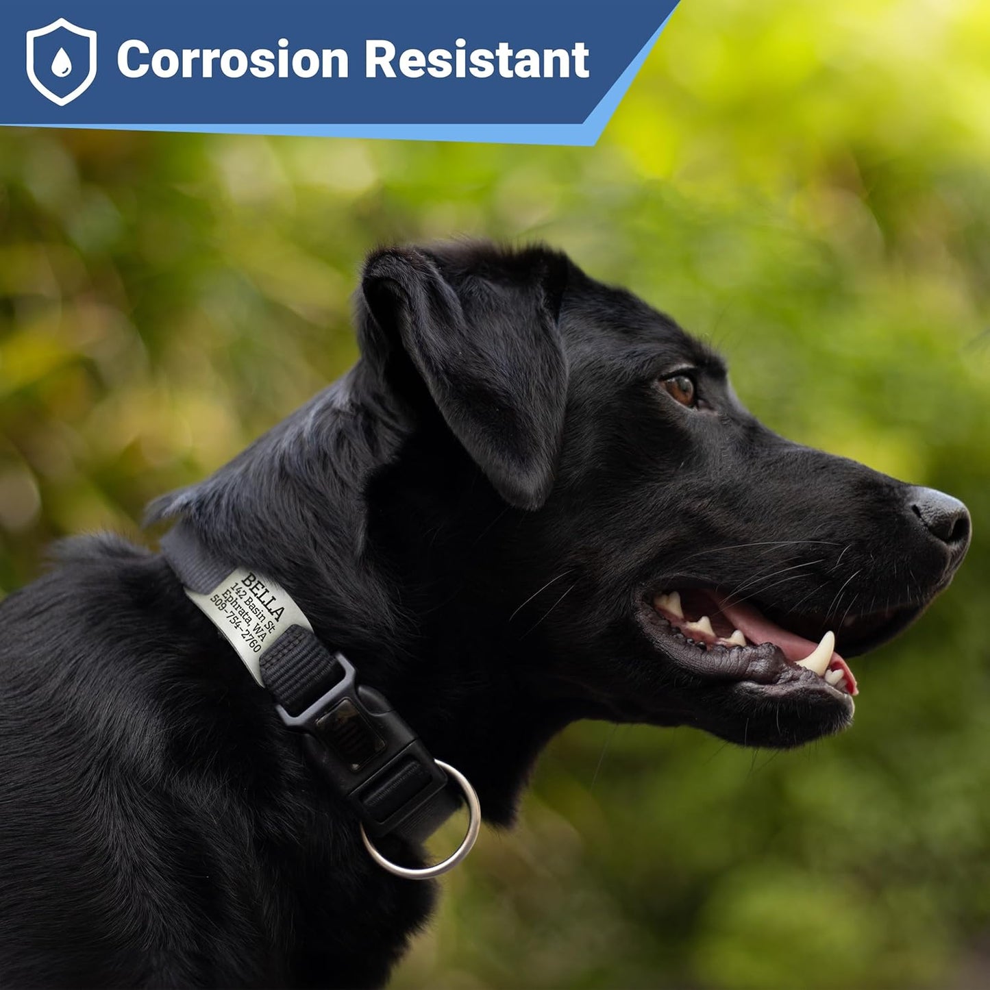 Placa Rectangular Abierta para Collar