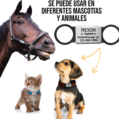 Placa Silicona Flexible