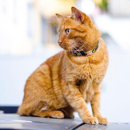 Placa Rectangular Abierta para Collar