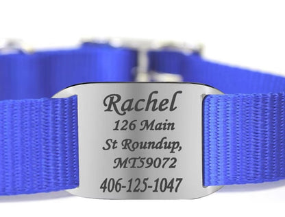 Placa Ovalada Cerrada para Collar