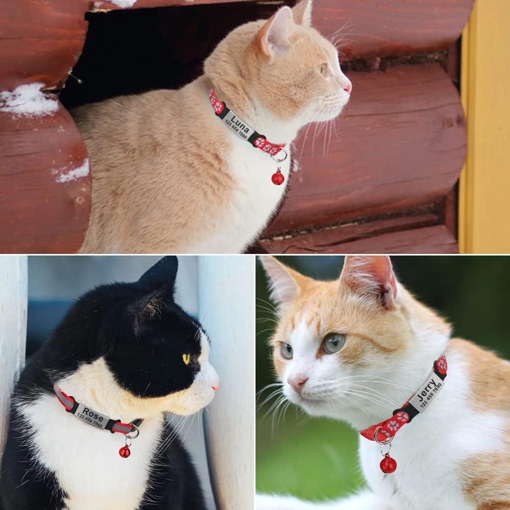 Placa Silicona Flexible