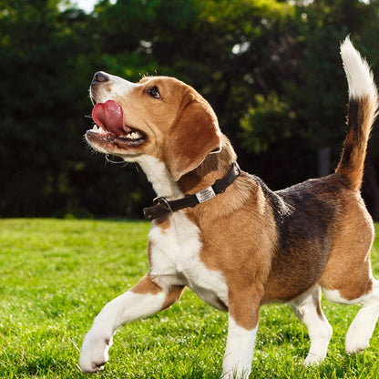 Placa Silicona Flexible