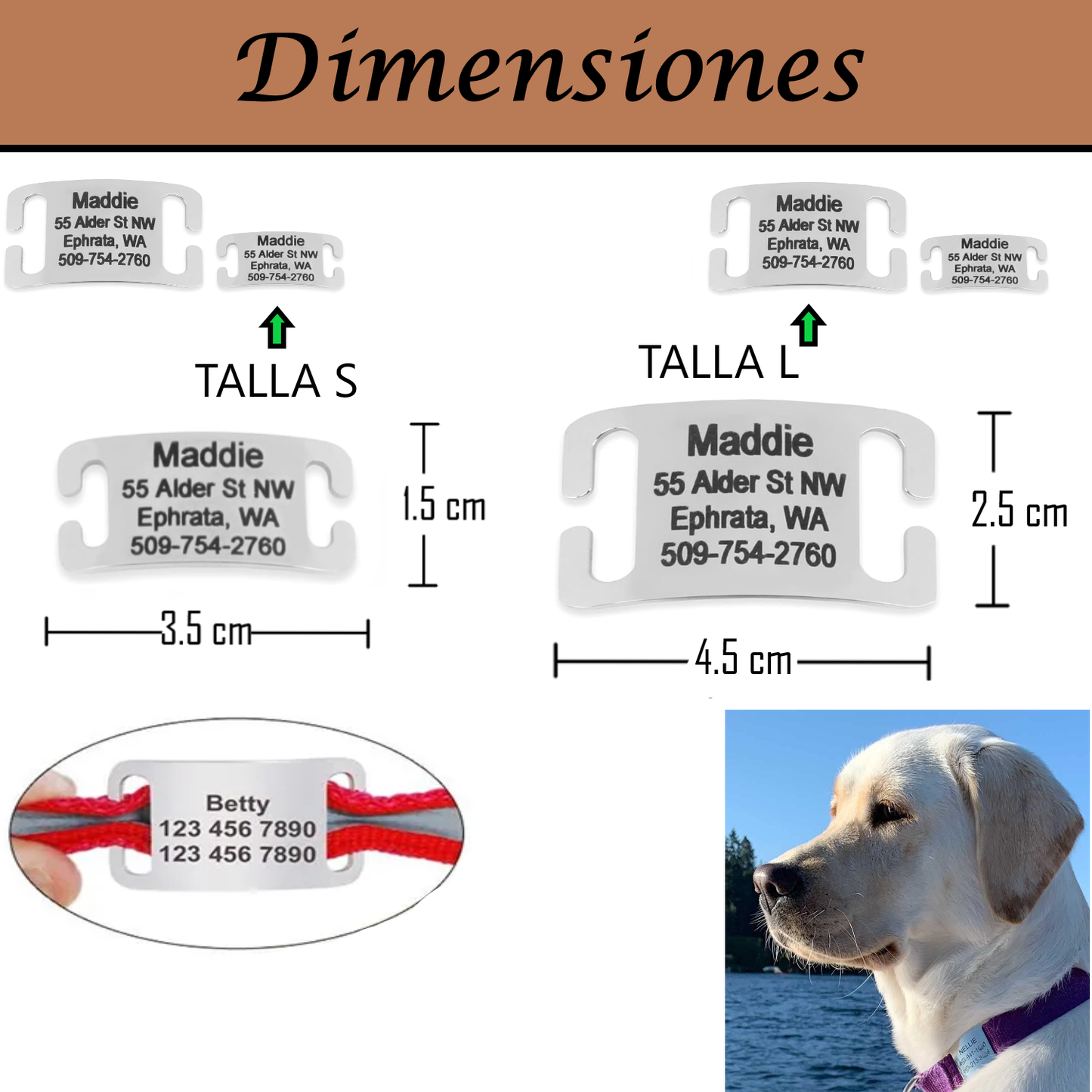 Placa Rectangular Abierta para Collar