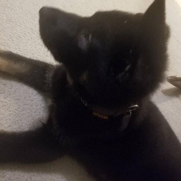 Placa Estilo Militar