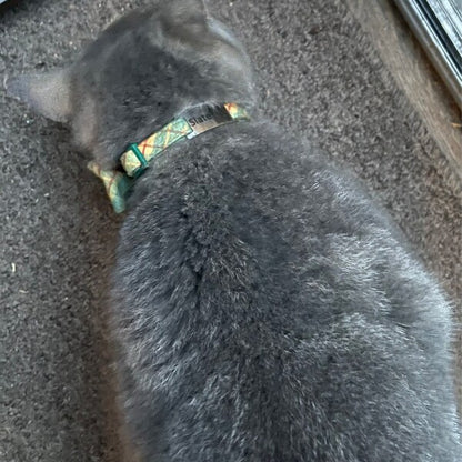 Placa Rectangular Cerrada para Collar