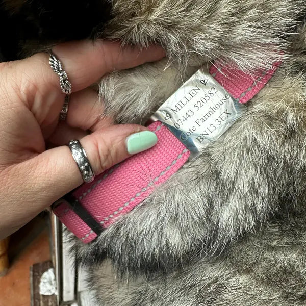 Placa Rectangular Abierta para Collar