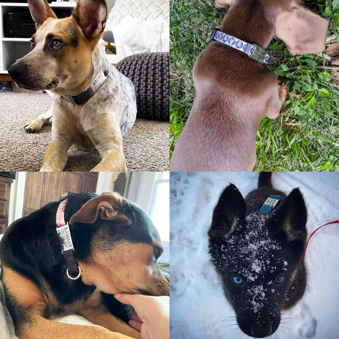 Placa Rectangular Cerrada para Collar