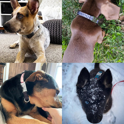 Placa Rectangular Cerrada para Collar